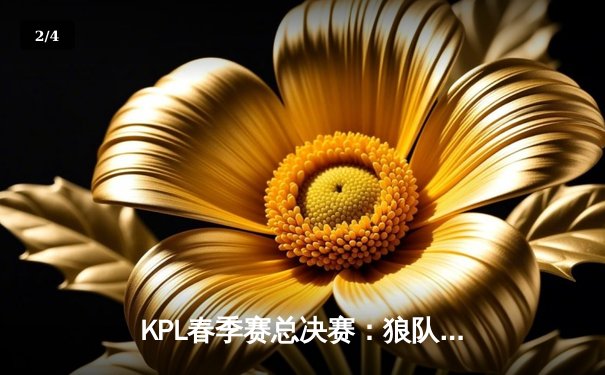 KPL春季赛总决赛：狼队力克AG超玩会，以4-3惊险夺冠 - 2