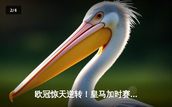 欧冠惊天逆转！皇马加时赛3-2绝杀拜仁，维尼修斯制胜球锁定决赛席位 - 2